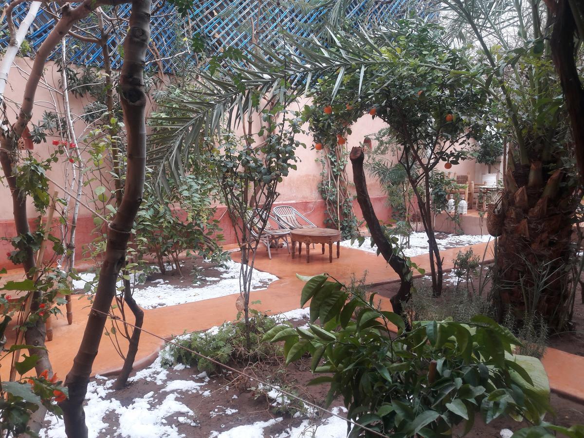 达尔法哈娜住宿加早餐旅馆 Tajda 外观 照片